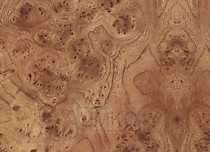 №167 Глянец "КОРЕНЬ ВЯЗА"