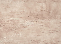 №17  "БЕРЕЗА ПЕСЧАНАЯ"