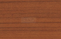 №25 "ЗИМНЯЯ ВИШНЯ"