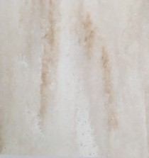 №91 "АЙВОРИ"