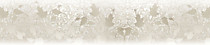 albico SP 107