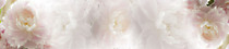 albico SP 45